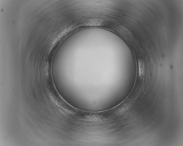 X0000052980300200507221334