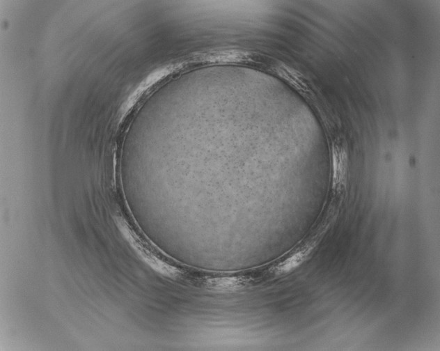 X0000052980301200507221334