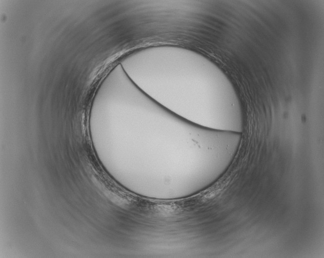 X0000052980302200507221334