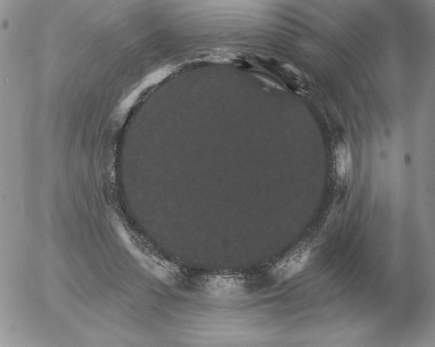 X0000052980303200507221334