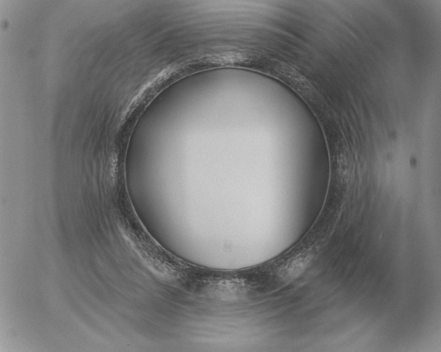 X0000052980304200507221334