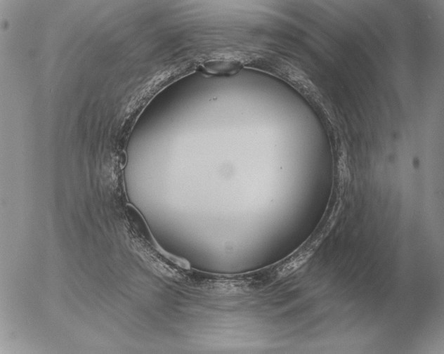 X0000052980305200507221334