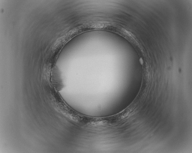 X0000052980307200507221334