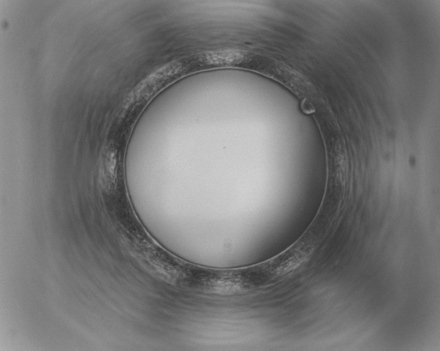 X0000052980308200507221334