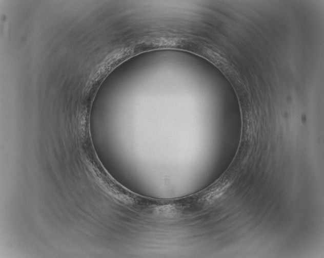 X0000052980309200507221334