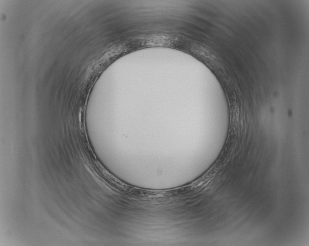 X0000052980310200507221334