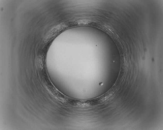 X0000052980311200507221334