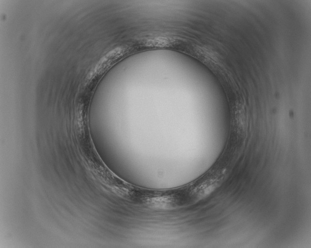 X0000052980312200507221334