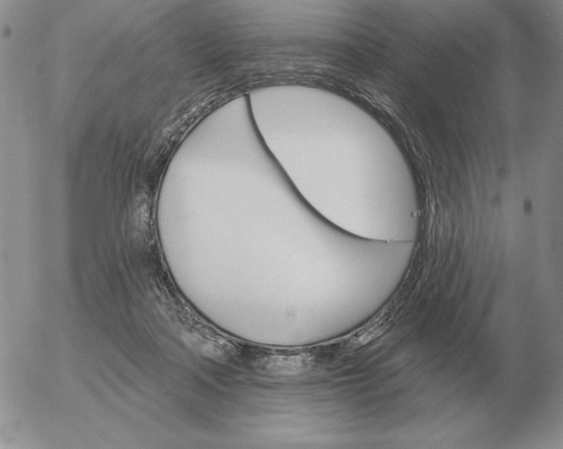 X0000052980314200507221334