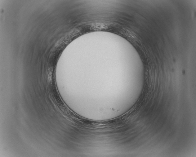 X0000052980315200507221334