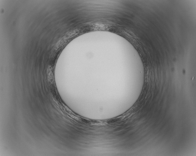 X0000052980318200507221334