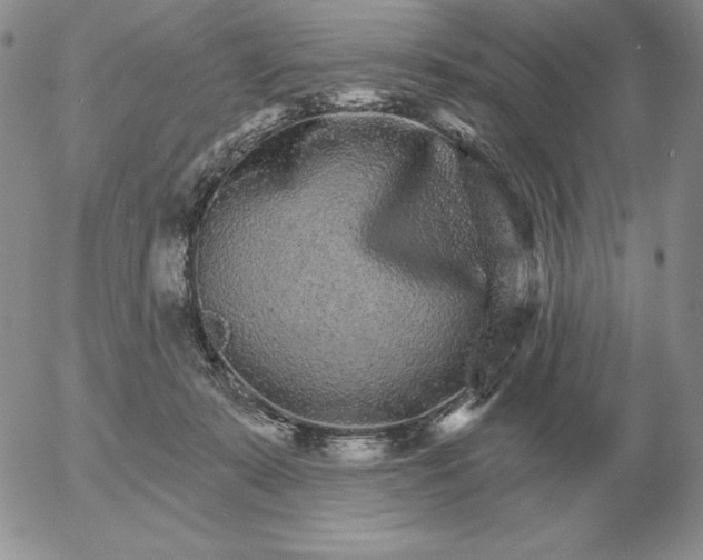 X0000052980319200507221334