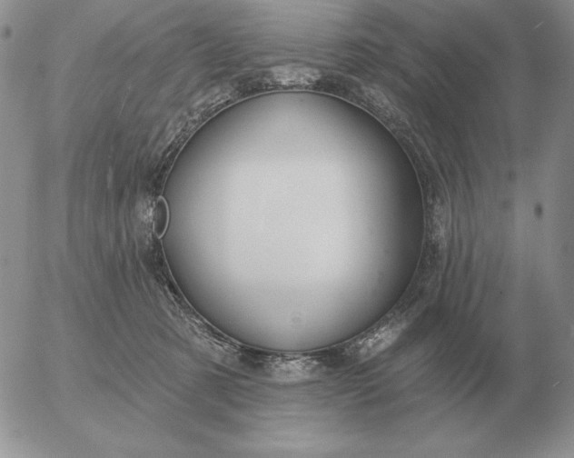 X0000052980321200507221334