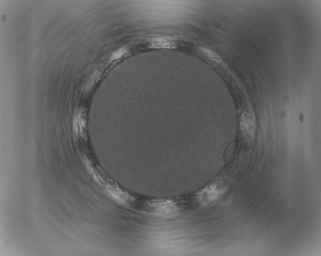 X0000052980322200507221334