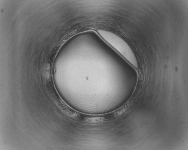 X0000052980323200507221334