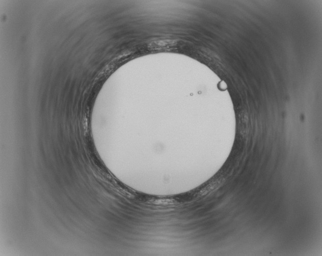 X0000052980324200507221334