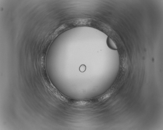 X0000052980326200507221334