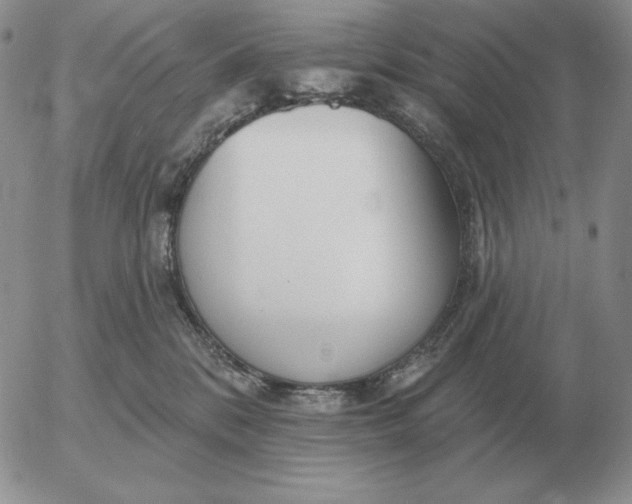 X0000052980328200507221334