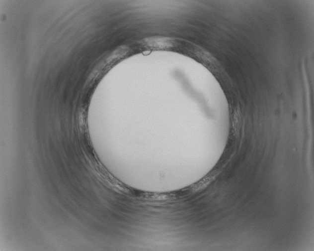 X0000052980330200507221334