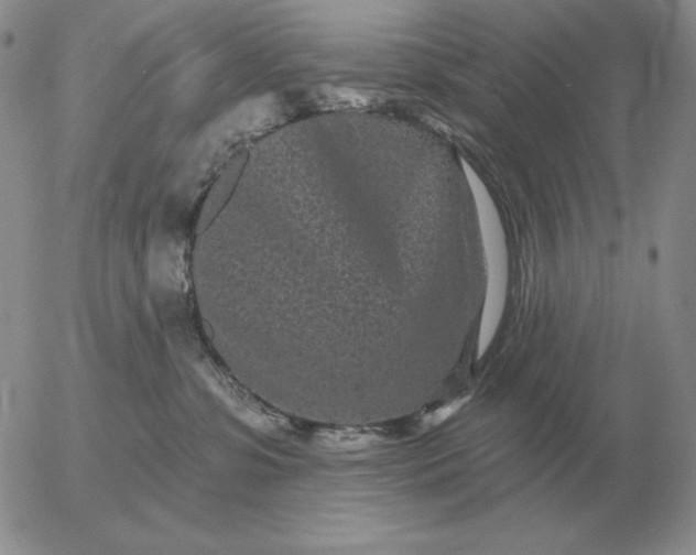 X0000052980331200507221334