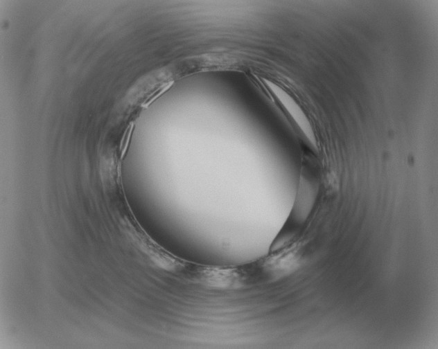 X0000052980333200507221334