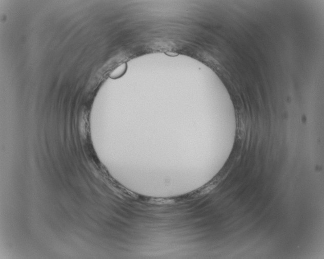 X0000052980334200507221334