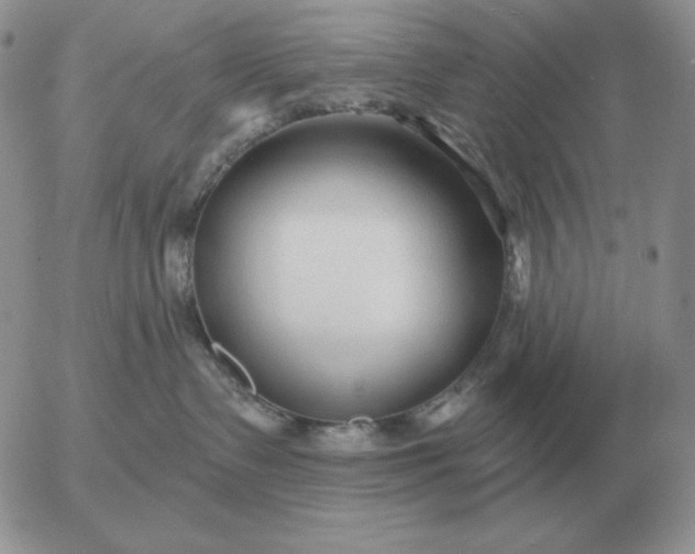 X0000052980335200507221334