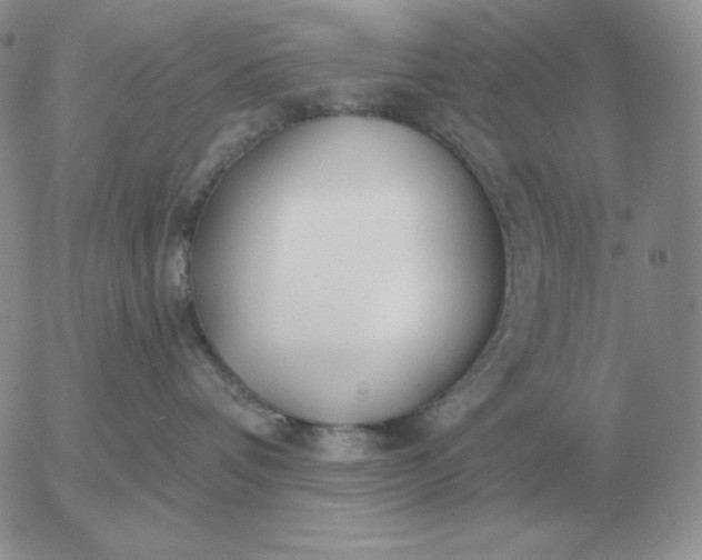 X0000052980336200507221334