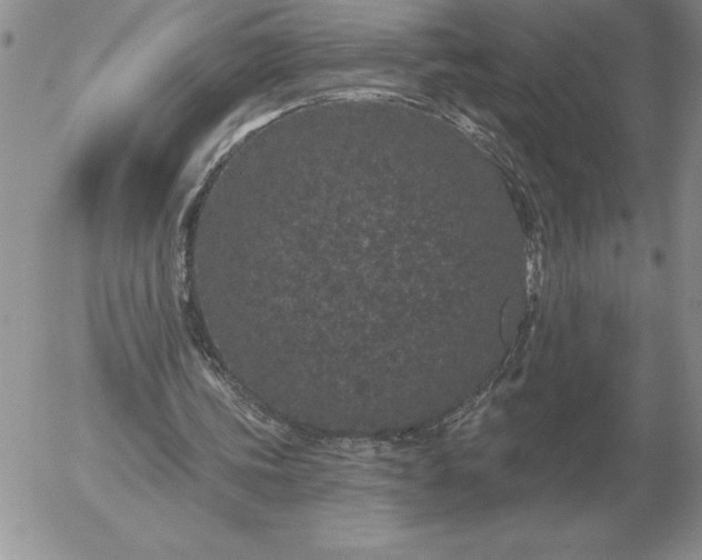 X0000052980339200507221333