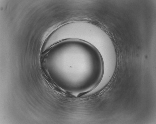 X0000052980340200507221333