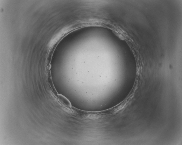 X0000052980341200507221333