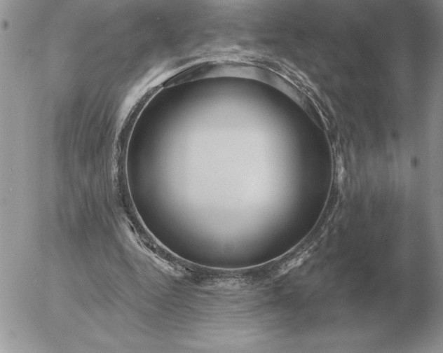 X0000052980344200507221333