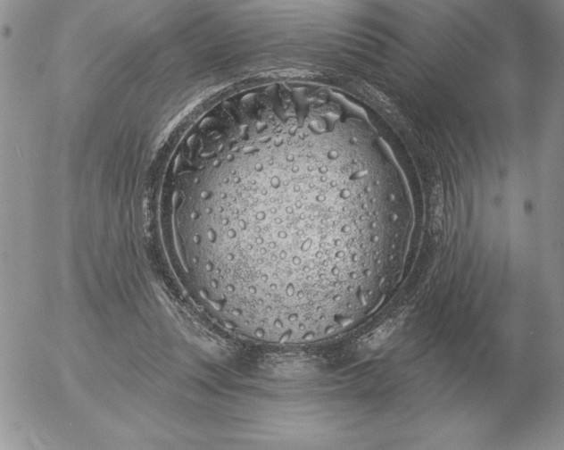 X0000052980351200507221333