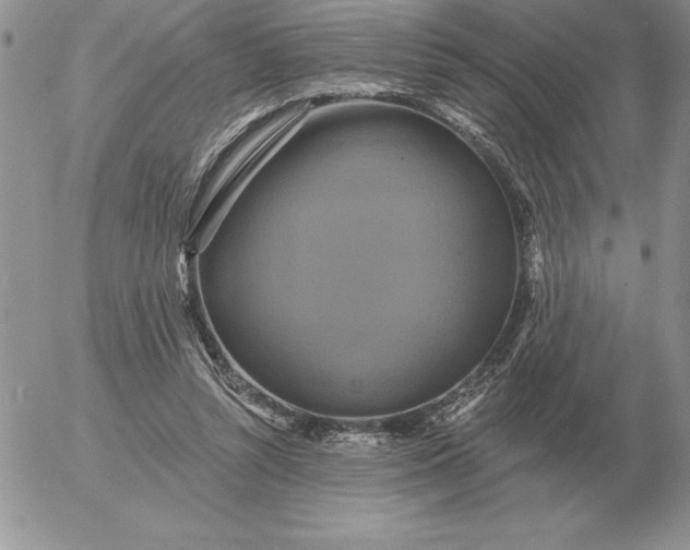 X0000052980352200507221333