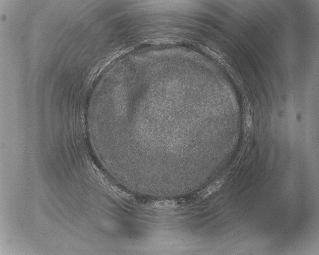 X0000052980353200507221333