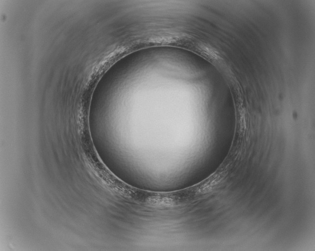 X0000052980354200507221333