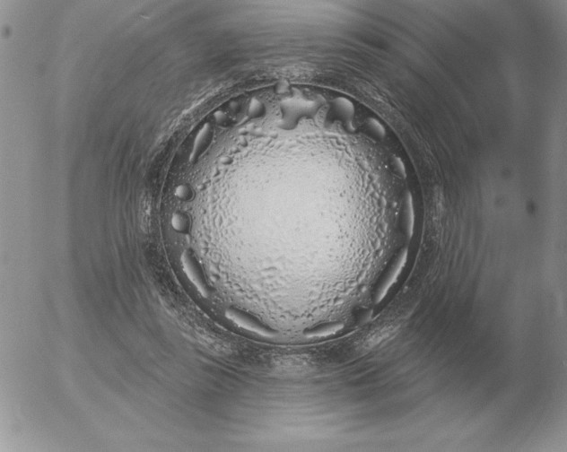 X0000052980355200507221333