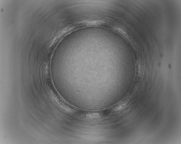 X0000052980357200507221333