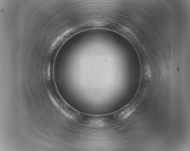 X0000052980358200507221333