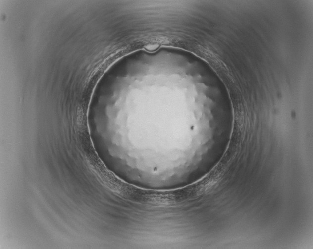 X0000052980359200507221333