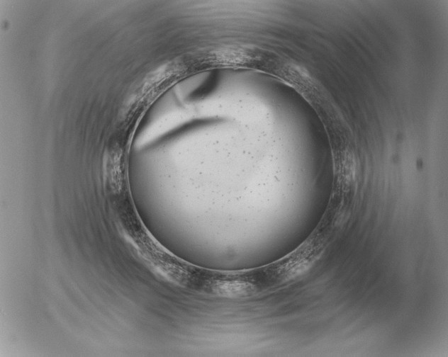 X0000052980360200507221333