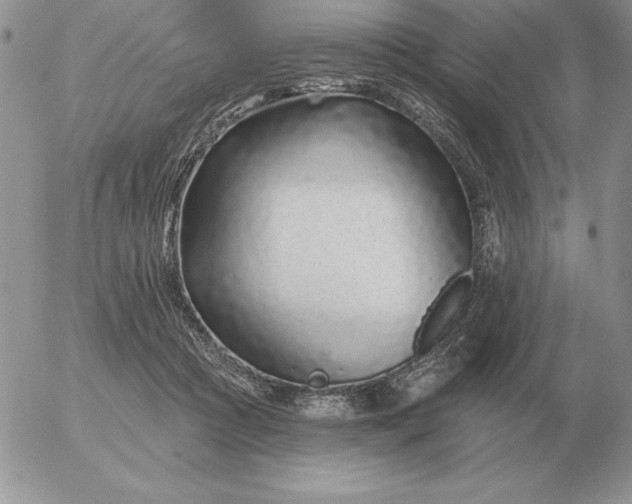 X0000052980361200507221333