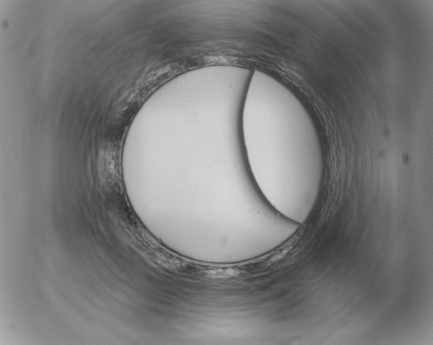 X0000052980363200507221333