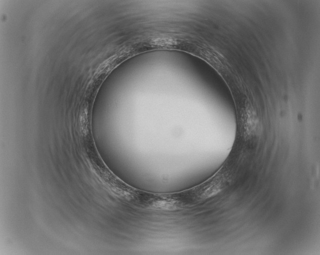 X0000052980364200507221333