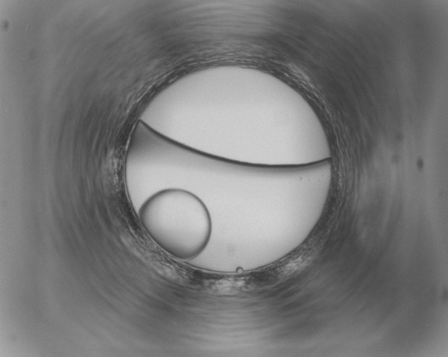 X0000052980366200507221333