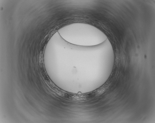 X0000052980367200507221333