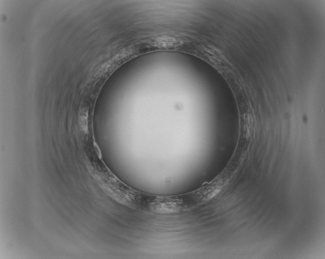 X0000052980368200507221333