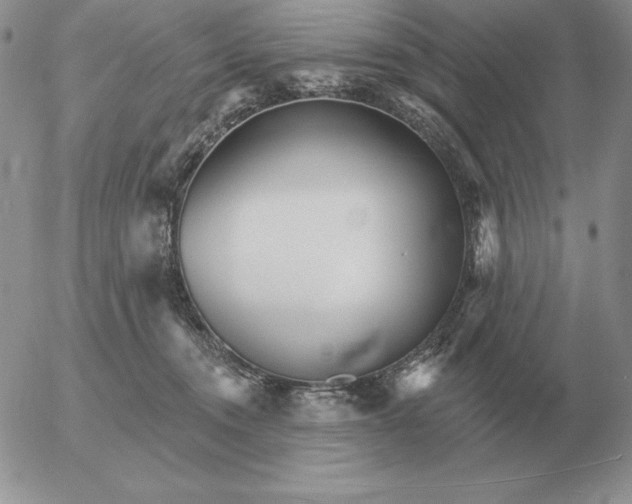 X0000052980372200507221333