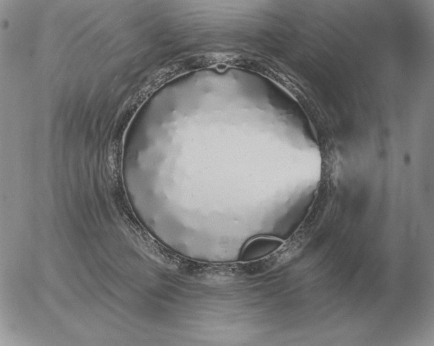 X0000052980373200507221333