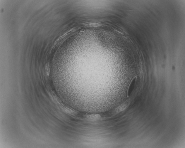 X0000052980374200507221334